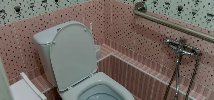 Meeting Diverse Needs With Accessible Restroom Solutions in Crown Point, IN